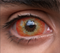 【Sclera】Ghost