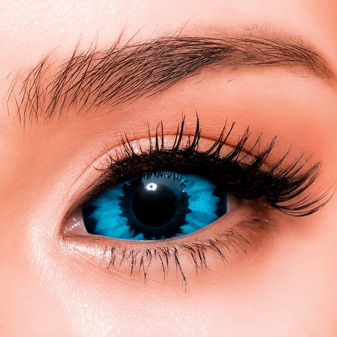 【Sclera】Blue Elf
