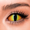 【Sclera】Sauron