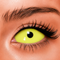 【Sclera】Yellow