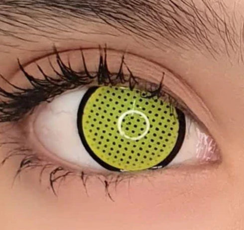 Border Mesh (4 couleurs) / Rayne Ames - MASHLE