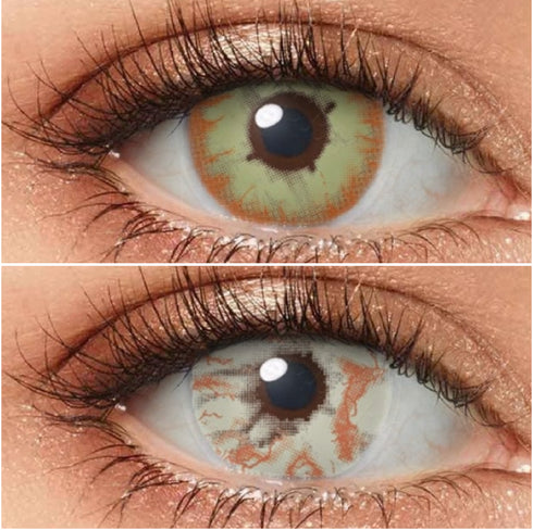 Grey Zombie (2 modèles)