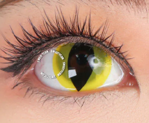 UV Cat (2 couleurs)【Réagit à la lumière noire】