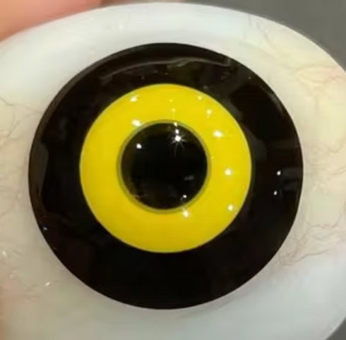 Kyûsaku Yumeno 【Bungô Stray Dogs】(Possibilité d'acheter ⭕️ ou ⭐️ séparément)