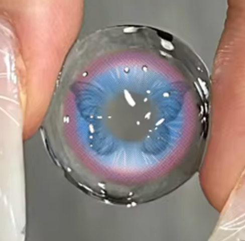 Papillon (3 couleurs)