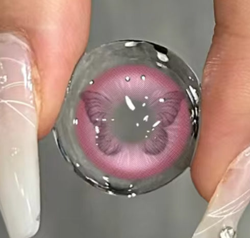 Papillon (3 couleurs)