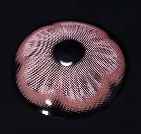 Sakura V2 (4 couleurs)