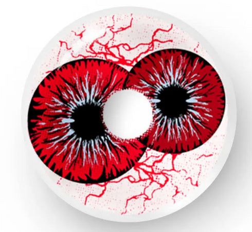 Dicoria (4 couleurs)