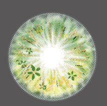 Anime Flower (3 couleurs)