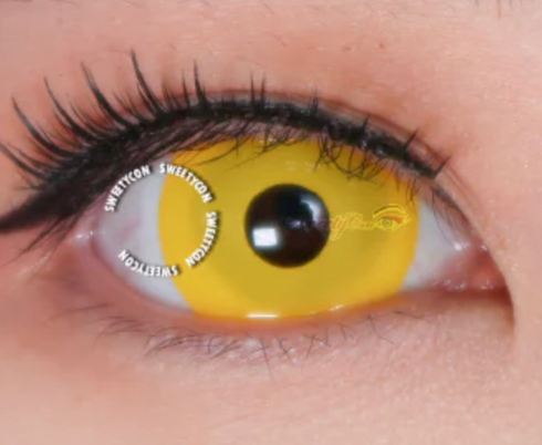 【Mini Scléra】Jaune