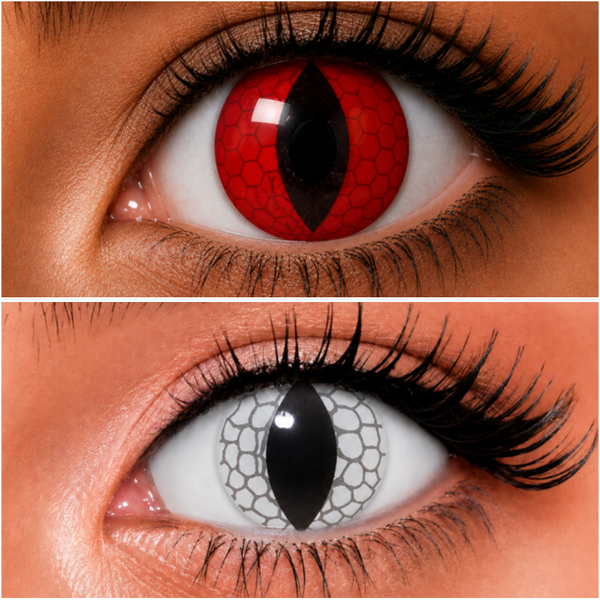 Dragon - lentille de couleur 猫目&爬虫類目 cosplay/Halloween ZenKon