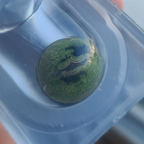 鰐 (ワニ)- SFX-EYES 全眼カラコン 特殊カラコン コスプレ ハロウイン オーダーメイド アニメ 漫画 度付き 度入り 度あり