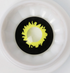 Eclipse - lentille de couleur アニメ&漫画 cosplay/Halloween ZenKon (vue 1)
