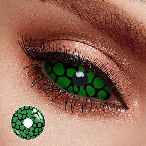 【Sclera】Lizard