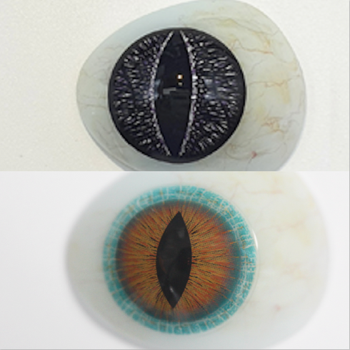 【Mini Scléra】Saurien (17mm) (2 couleurs)