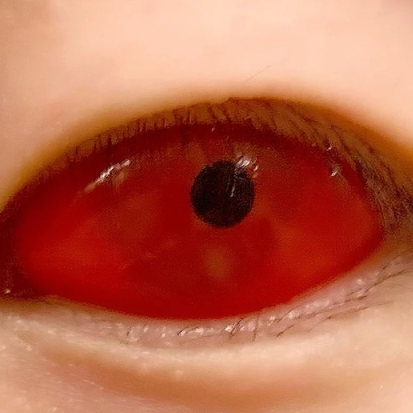 【全眼】レッド V2- SFX-EYES 全眼カラコン 特殊カラコン コスプレ ハロウイン オーダーメイド アニメ 漫画 度付き 度入り 度あり