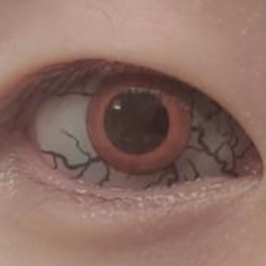 【全眼】サンダーリング- SFX-EYES 全眼カラコン 特殊カラコン コスプレ ハロウイン オーダーメイド アニメ 漫画 度付き 度入り 度あり