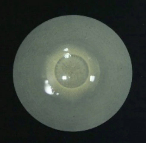 【全眼】ゾンビ 0 【視界減少】- SFX-EYES 全眼カラコン 特殊カラコン コスプレ ハロウイン オーダーメイド アニメ 漫画 度付き 度入り 度あり