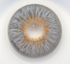 Avatar - lentille de couleur cosplay/Halloween ZenKon (coloris Gris)