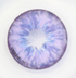 Amazon - lentille de couleur cosplay/Halloween ZenKon (coloris Violet)
