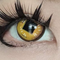 アニメ・ダイアモンド- SFX-EYES 全眼カラコン 特殊カラコン コスプレ ハロウイン オーダーメイド アニメ 漫画 度付き 度入り 度あり