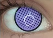 Border Mesh / Rayne Ames - MASHLE - lentille de couleur Demon Slayer cosplay/Halloween ZenKon (coloris Violet)