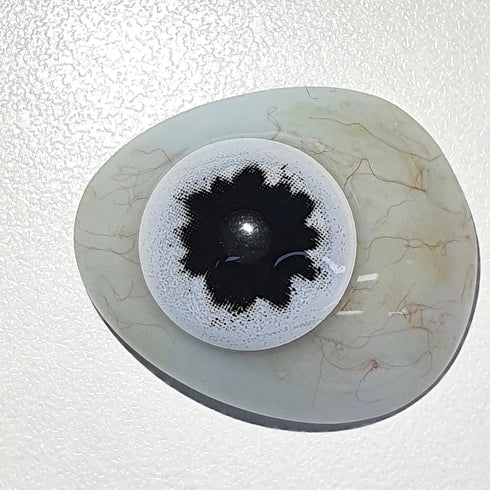 ブラックゾンビ (V1)- SFX-EYES 全眼カラコン 特殊カラコン コスプレ ハロウイン オーダーメイド アニメ 漫画 度付き 度入り 度あり