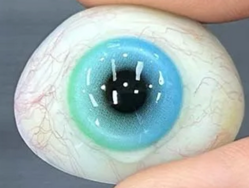 Cristal Eyes - lentille de couleur cosplay/Halloween ZenKon (coloris Vert)