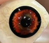 Goth Spider - lentille de couleur ホラー&ゾンビ cosplay/Halloween ZenKon (coloris Rouge)