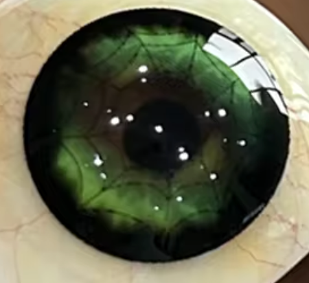 Goth Spider - lentille de couleur ホラー&ゾンビ cosplay/Halloween ZenKon (coloris Vert)
