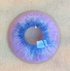 Dreamy Eyes - lentille de couleur cosplay/Halloween ZenKon (coloris Violet)