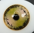 Exynt - lentille de couleur cosplay/Halloween ZenKon (coloris Jaune)