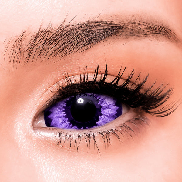 【Scléra】Purple Elf