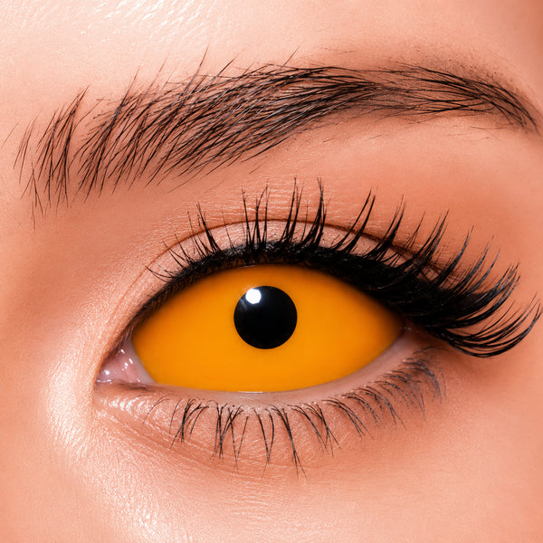 【Sclera】Orange