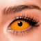 【Sclera】Orange