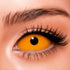 【Sclera】Orange