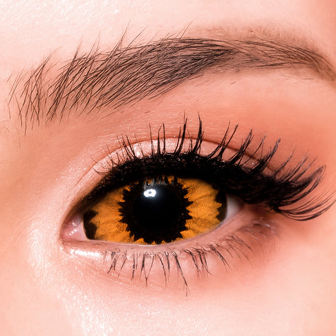 【Sclera】Orange Elf