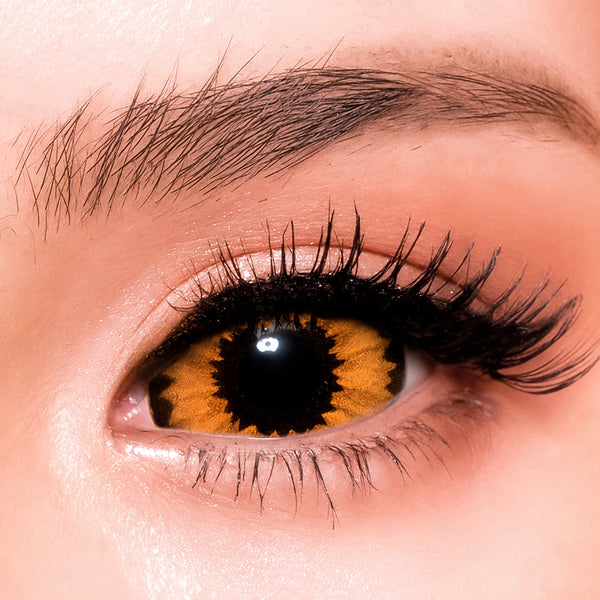 Orange Elf - lentille sclérale アニメ&漫画 cosplay/Halloween ZenKon