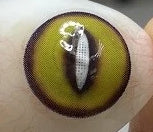 イブリン【LoL-skin】 K/DA 【度付き可能】【少し視界減少】- SFX-EYES 全眼カラコン 特殊カラコン コスプレ ハロウイン オーダーメイド アニメ 漫画 度付き 度入り 度あり