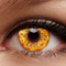 イエローバースト- SFX-EYES 全眼カラコン 特殊カラコン コスプレ ハロウイン オーダーメイド アニメ 漫画 度付き 度入り 度あり