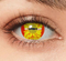 イエローゾンビ 【少し視界減少】- SFX-EYES 全眼カラコン 特殊カラコン コスプレ ハロウイン オーダーメイド アニメ 漫画 度付き 度入り 度あり