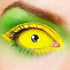【Sclera】Yellow