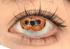 Dicoria - lentille de couleur アニメ&漫画 cosplay/Halloween ZenKon (coloris Orange)