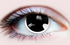Manga - lentille de couleur アニメ&漫画 cosplay/Halloween ZenKon