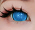 Border Mesh - lentille sclérale mini お人形 cosplay/Halloween ZenKon (coloris Bleu)
