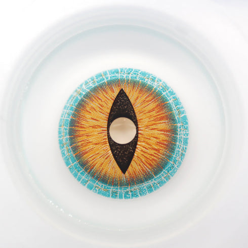 【ミニ全眼】蜥蜴 (17mm) (2種類)- SFX-EYES 全眼カラコン 特殊カラコン コスプレ ハロウイン オーダーメイド アニメ 漫画 度付き 度入り 度あり