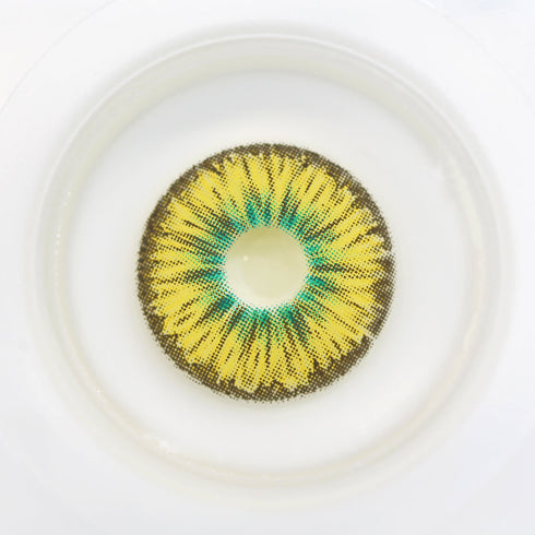 【ミニ全眼】アバター (17mm)- SFX-EYES 全眼カラコン 特殊カラコン コスプレ ハロウイン オーダーメイド アニメ 漫画 度付き 度入り 度あり