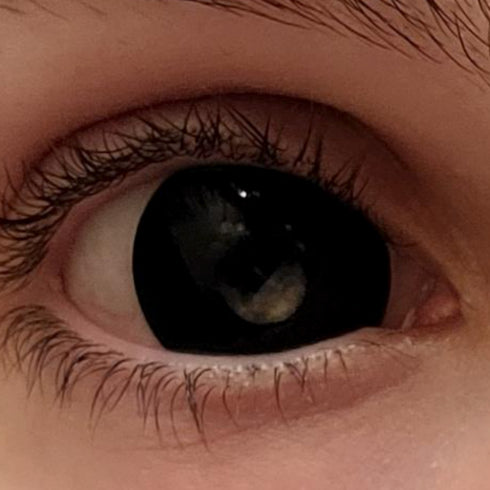 【ミニ全眼】ブラック (17mm) 【度付き可能】- SFX-EYES 全眼カラコン 特殊カラコン コスプレ ハロウイン オーダーメイド アニメ 漫画 度付き 度入り 度あり