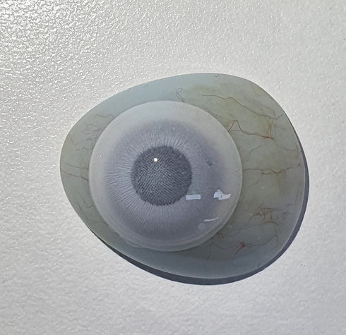 【ミニ全眼】ホワイトメッシュ UV(ブラックライト対応)【視界減少】 (17mm)- SFX-EYES 全眼カラコン 特殊カラコン コスプレ ハロウイン オーダーメイド アニメ 漫画 度付き 度入り 度あり