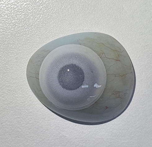 【ミニ全眼】ホワイトメッシュ UV(ブラックライト対応)【視界減少】 (17mm)- SFX-EYES 全眼カラコン 特殊カラコン コスプレ ハロウイン オーダーメイド アニメ 漫画 度付き 度入り 度あり